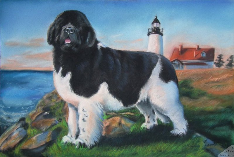 Фотография № 167129