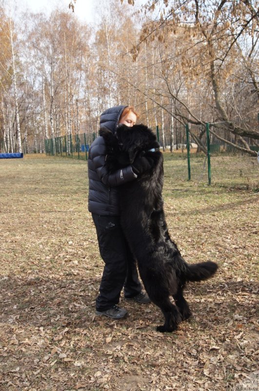 Фотография № 167132