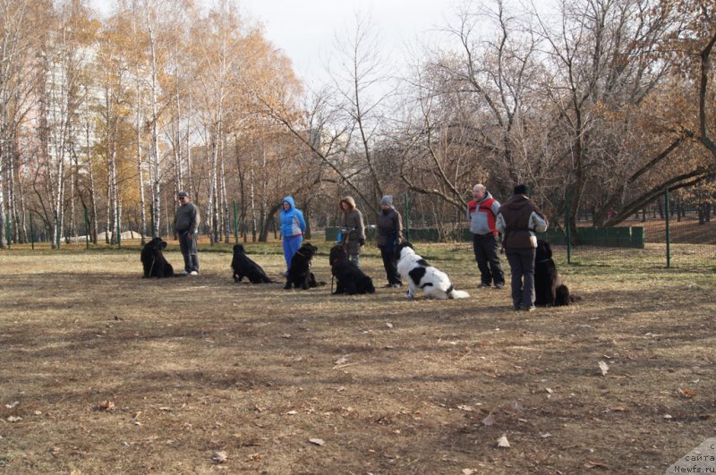 Фотография № 167138