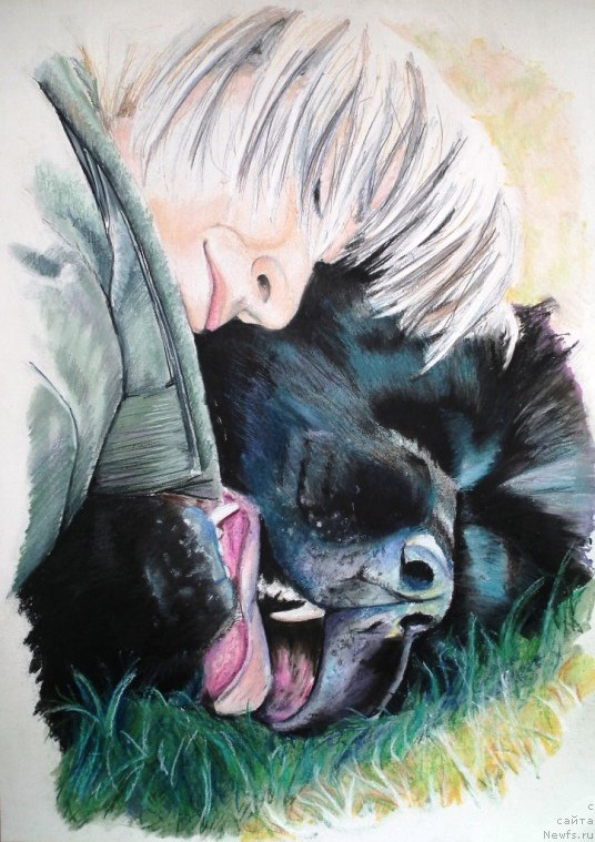 Фотография № 167154