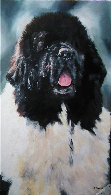 Фотография № 167157