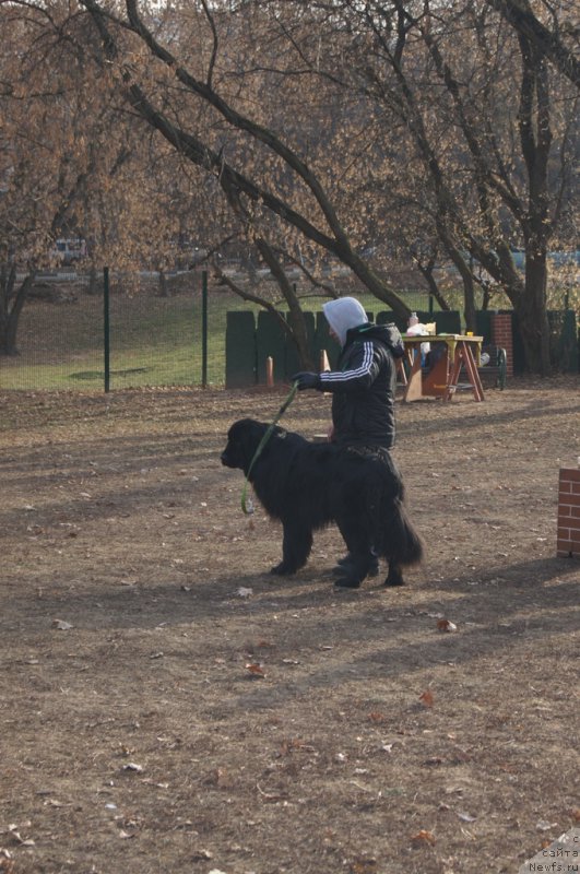 Фотография № 167170