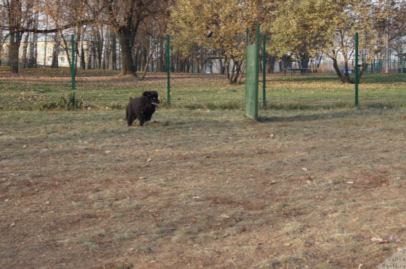 Фотография № 167181