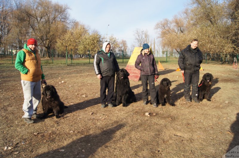 Фото: Александр, ньюфаундленд Акватория Келвин Ювентус (Aquatoriya Kelvin Yuventus), Валерий, ньюфаундленд Чистый Бриллиант Амиго (Chisty Brilliant Amigo), Юлия, Байк (
