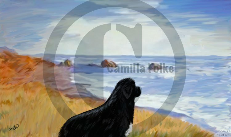 Фотография № 167195