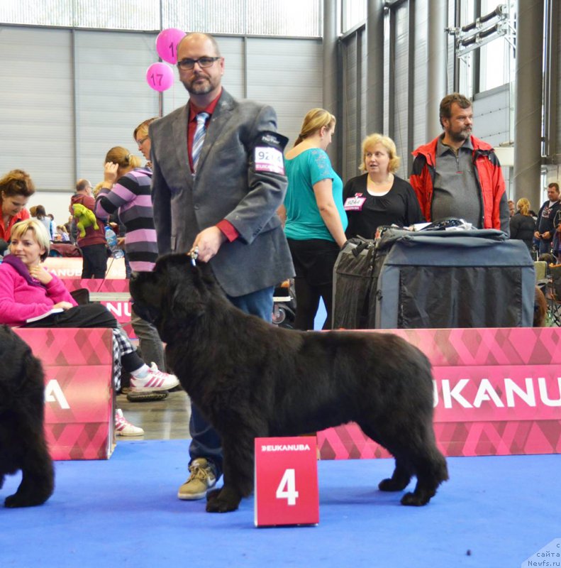 Фотография № 167198