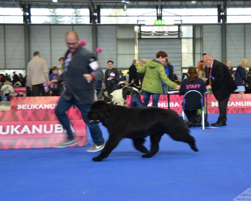 Фотография № 167199