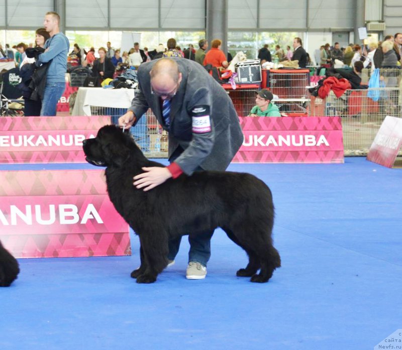 Фотография № 167200