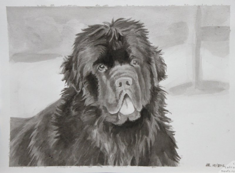 Фотография № 167208