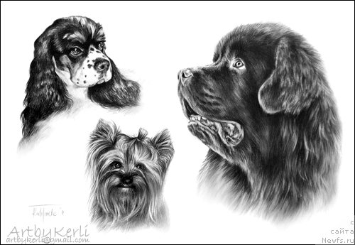 Фотография № 167211