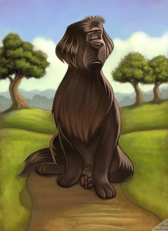 Фотография № 167229