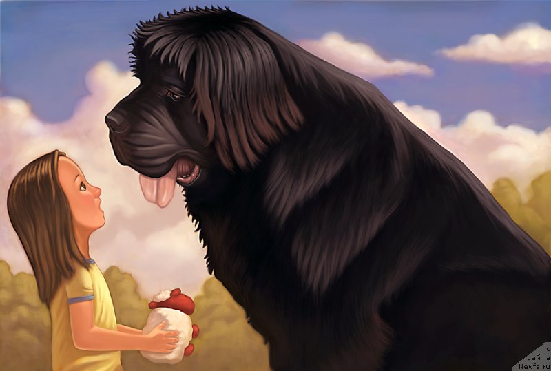 Фотография № 167230