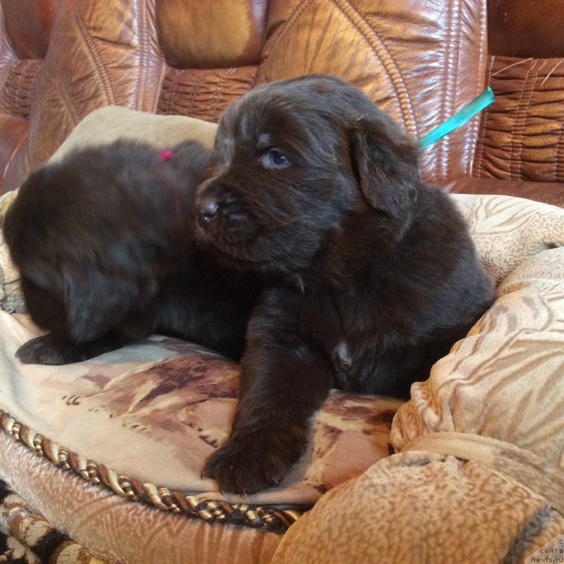 Фотография № 167234