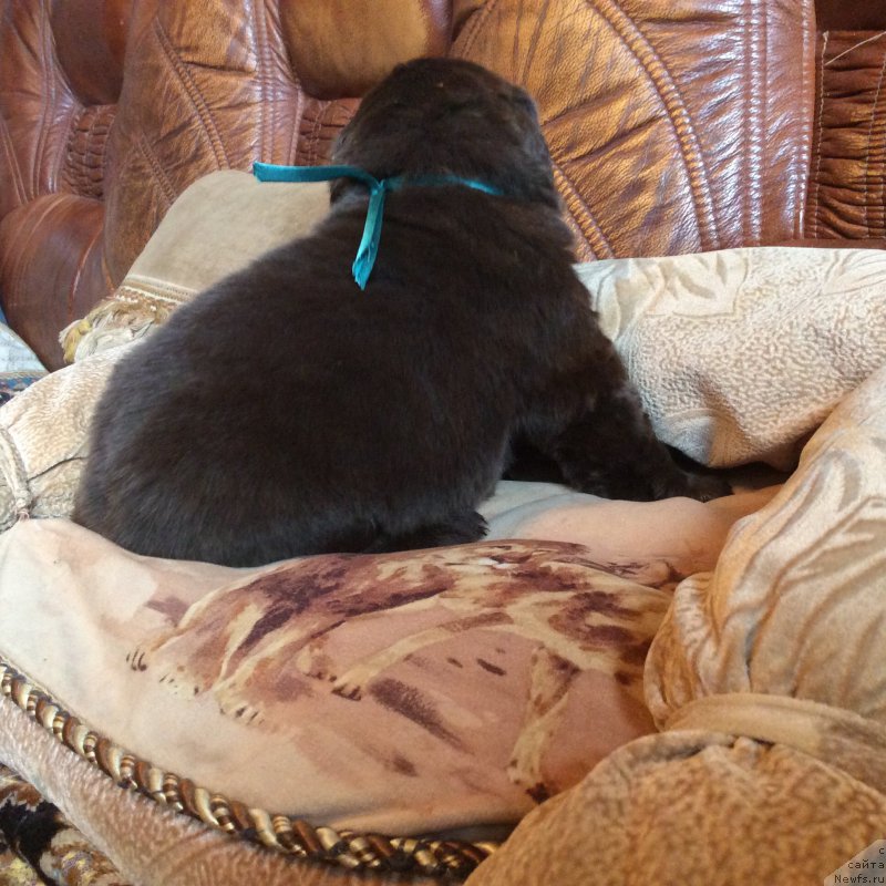 Фотография № 167237