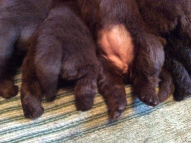 Фотография № 167246