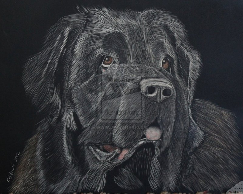 Фотография № 167250