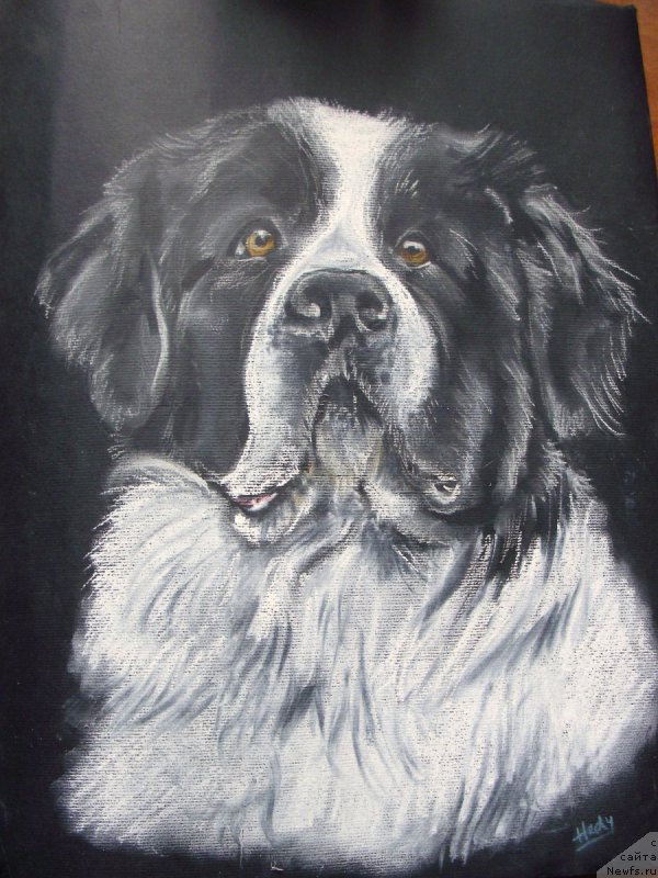 Фотография № 167253