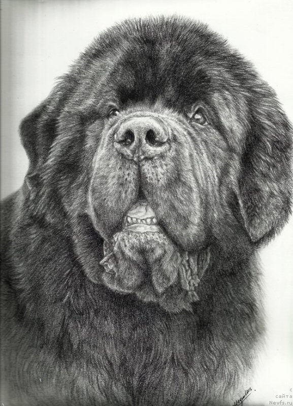 Фотография № 167254