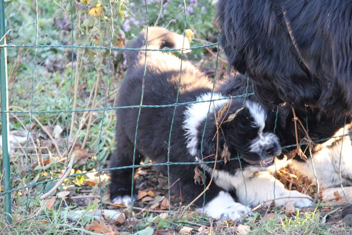 Фотография № 167258