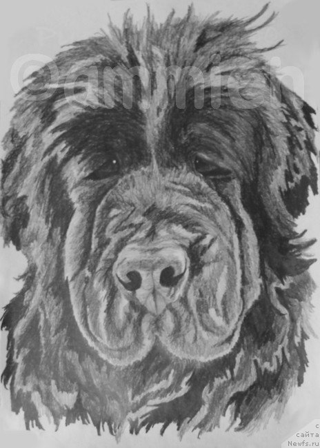 Фотография № 167260