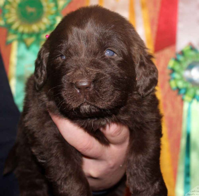 Фотография № 167274