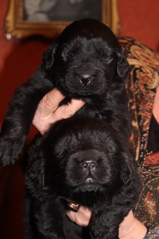 Фотография № 167278