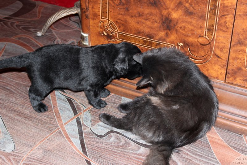 Фотография № 167280