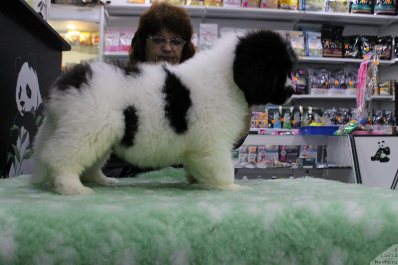 Фотография № 167308