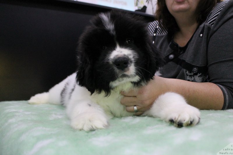 Фотография № 167310