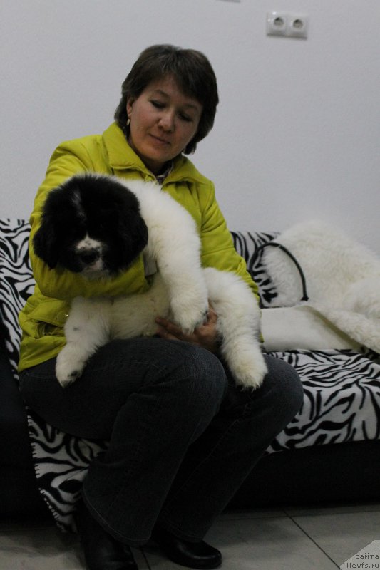 Фотография № 167313