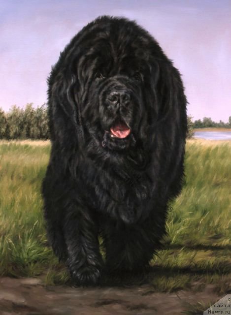 Фотография № 167314