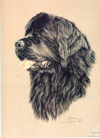 Фотография № 167315