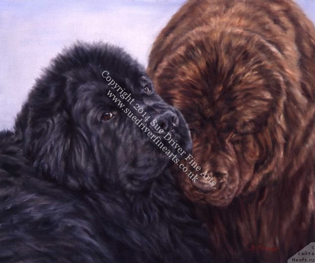 Фотография № 167317