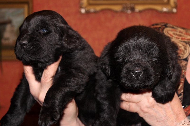 Фотография № 167318