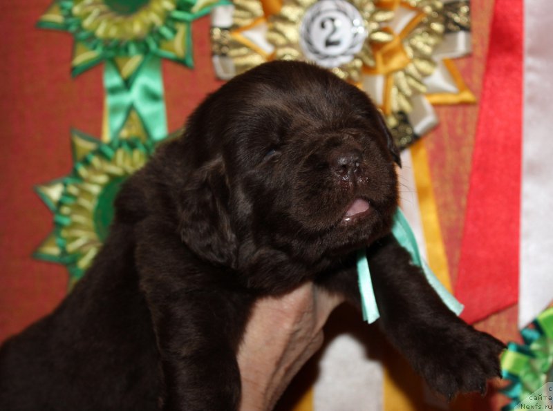 Фотография № 167319