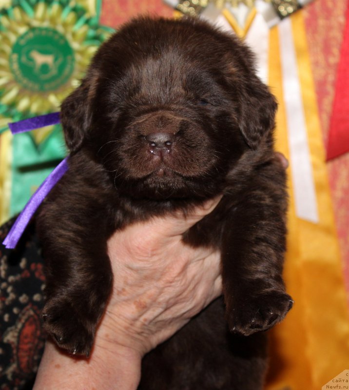 Фотография № 167320