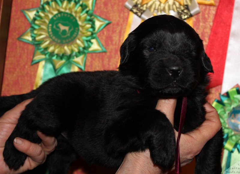 Фотография № 167324