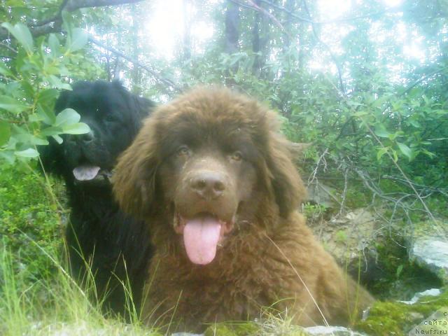 Фотография № 16733