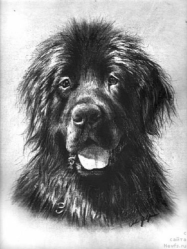 Фотография № 167331