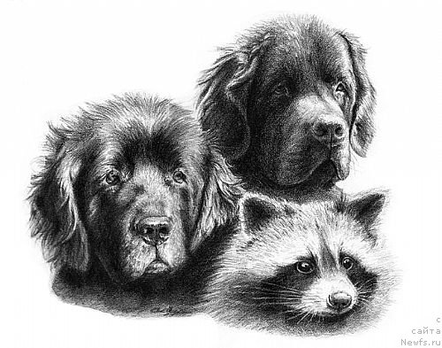 Фотография № 167332