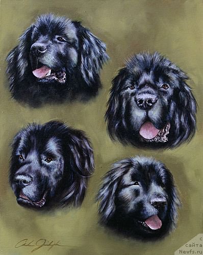 Фотография № 167333