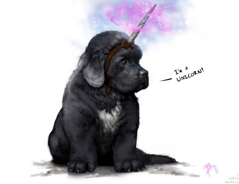 Фотография № 167349