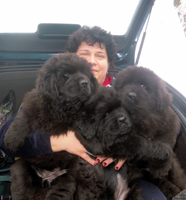 Фотография № 167361