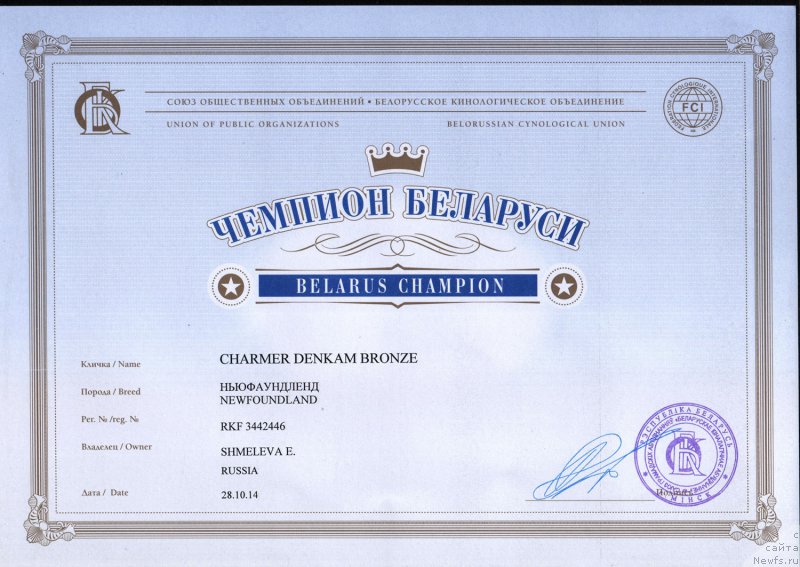 Фото: ньюфаундленд Чармер Денкам Бронз (Charmer Denkam Bronze)