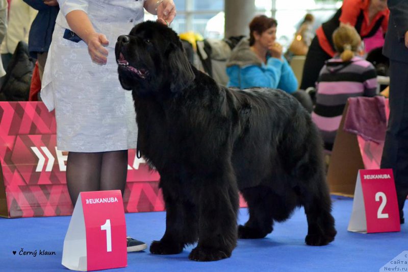 Фотография № 167368