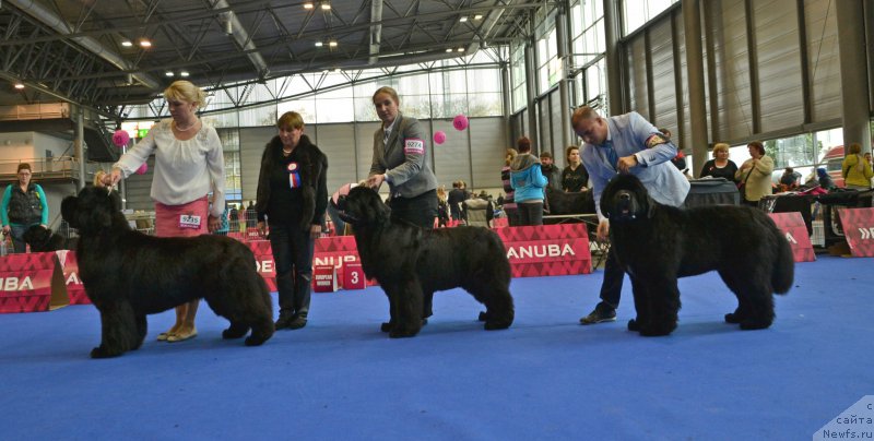 Фотография № 167369