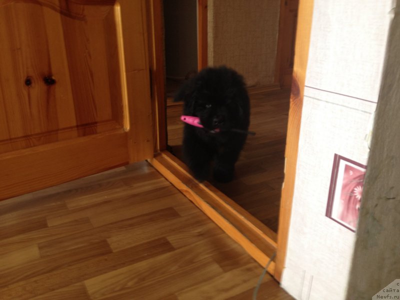 Фотография № 167393