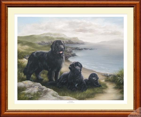 Фотография № 167400