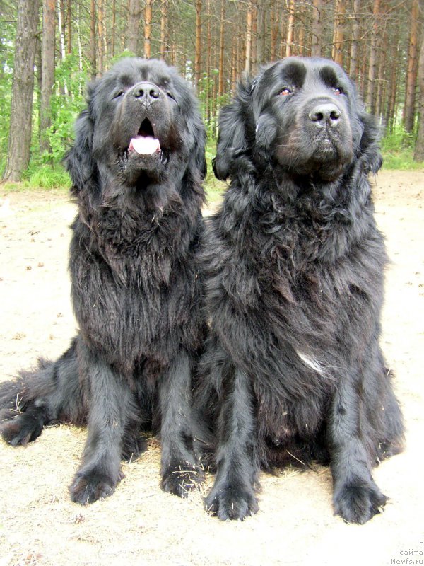 Фотография № 167401