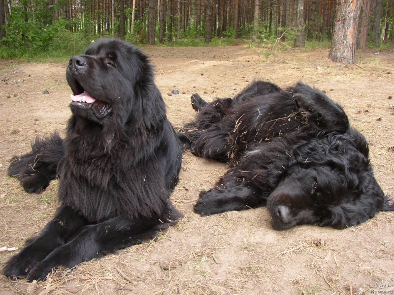 Фотография № 167403